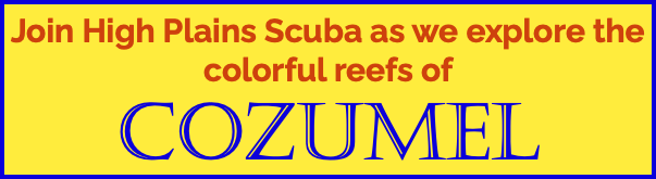 Join High Plains Scuba as we explore the colorful reefs of Cozumel